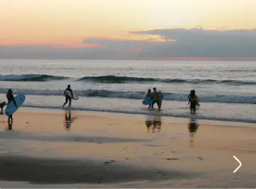 Gang Surf, plage du Vivier