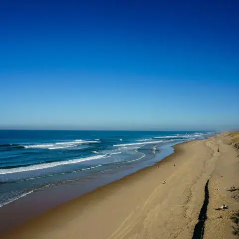 Surf avec l'ESCF