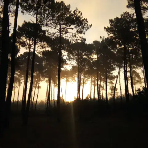 Le camp Backwash dans la pinède du Truc Vert