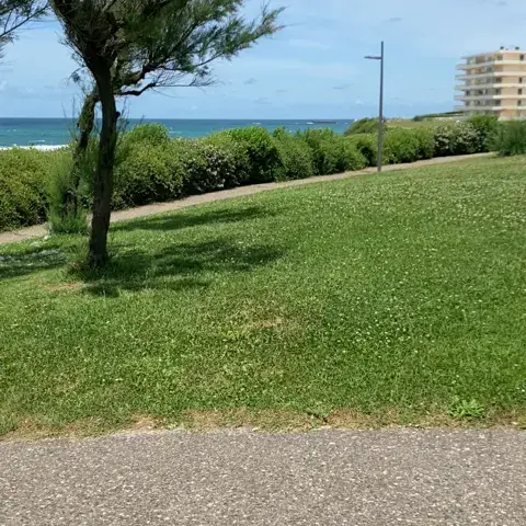 Bodyboard avec Txiki Boogie à Anglet