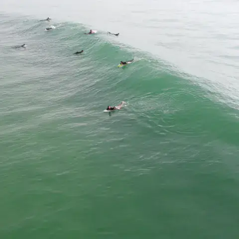 Location de planches de surf à Hourtin-Plage