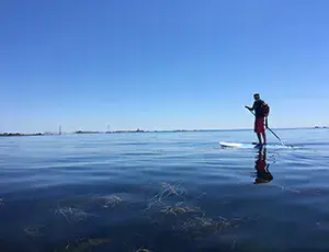 Balade en stand up paddle dans la baie