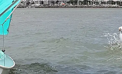 Stagiaires en dériveur sur l'eau