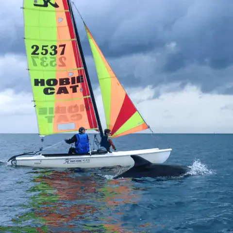 Catamaran Hobie Cat en navigation