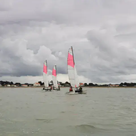Voiliers du club en navigation pendant un stage