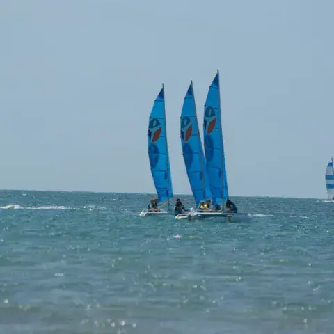 Catamarans à voiles bleues au large