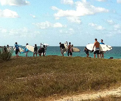 Groupe d'élèves en marche vers l'eau avec leurs planches de surf