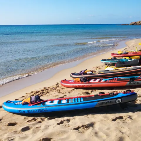 Planches de SUP de location alignées sur la plage