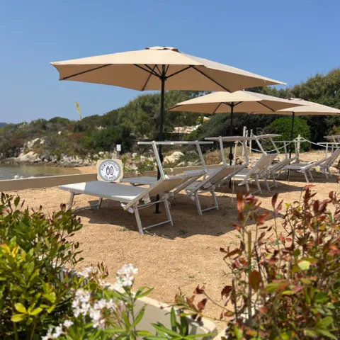 Transats et parasols sur la plage du centre
