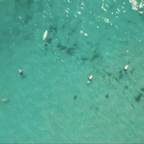 Surfeurs à l'eau, vus du ciel
