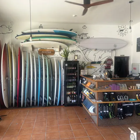 Rayon de planches et comptoir du magasin