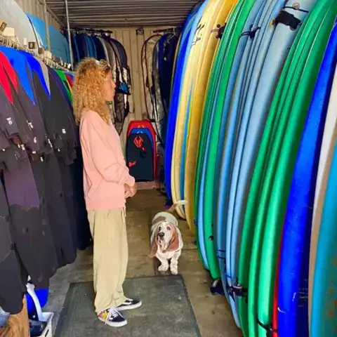 Rangée de planches de la boutique