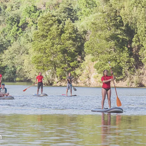 Balade de stand up paddle sur une rivière