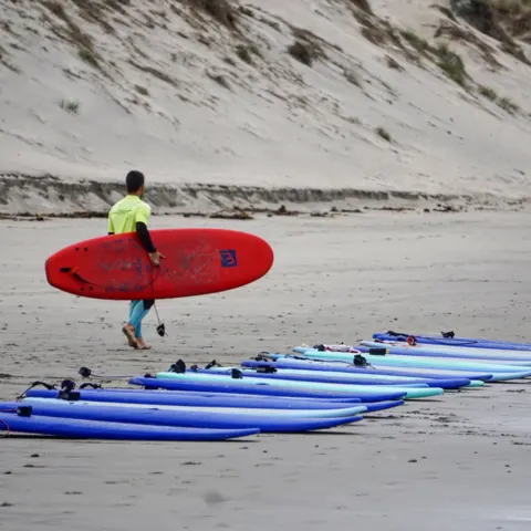 Planches de surf alignées sur la plage