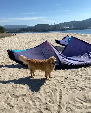 Ailes de kite posées sur le sable d'une plage