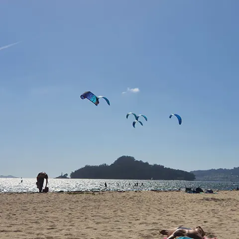 Plage avec plusieurs kitesurfeurs sur l'eau
