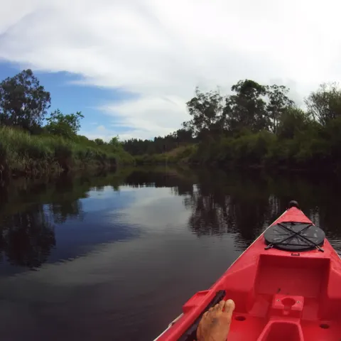 Sortie en kayak sur une rivière bordée d'arbres