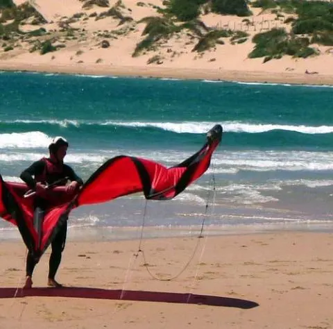 Ailes posées sur le sable au bord de l'eau pendant un cours