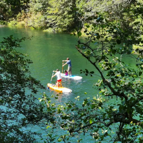 Deux personnes en paddle sur une eau verte entourée d'arbres