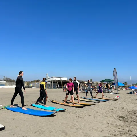 Groupe sur la plage avec des planches de surf