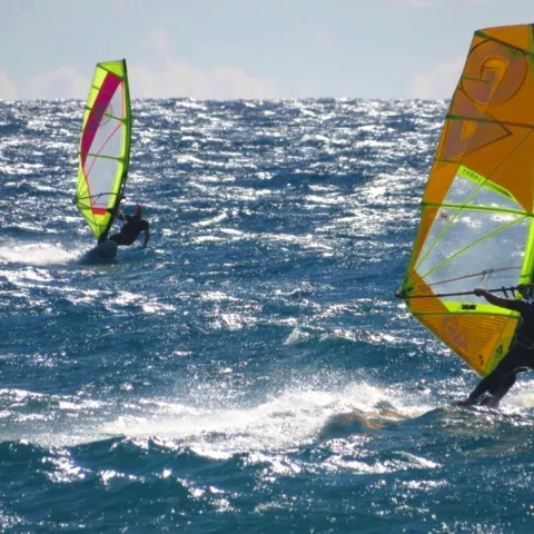 Windsurfeurs avec voiles jaune et verte