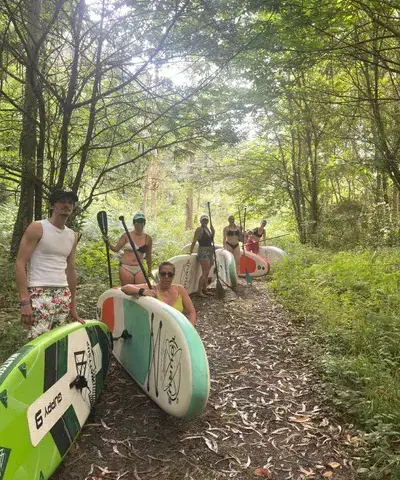 Groupe de paddle sur le chemin vers l'eau