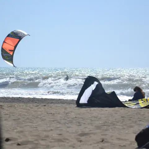 Kite en vol au-dessus de la plage