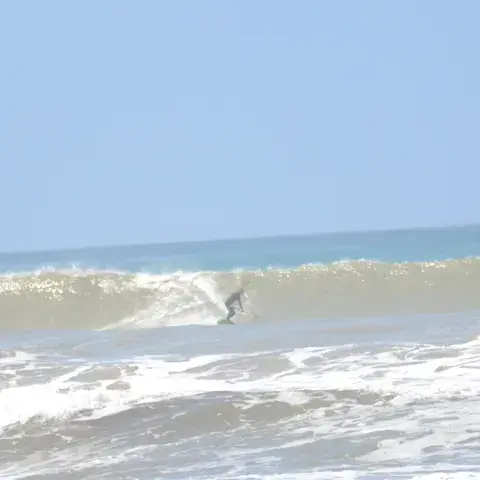Surfeur sur une vague