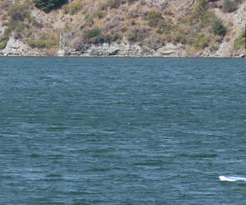 Planches à voile sur le plan d'eau