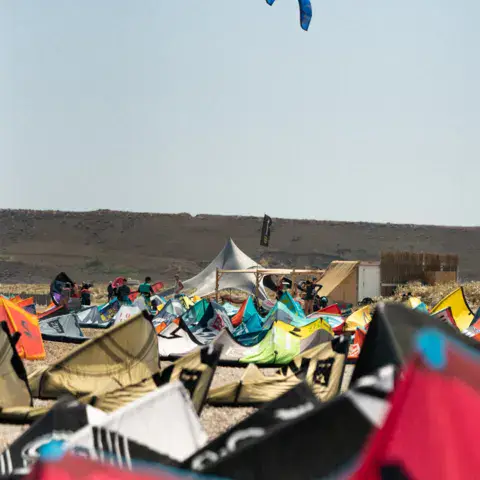 Ailes étalées sur la plage