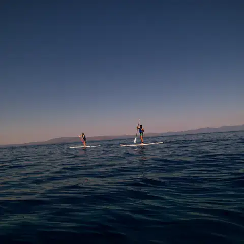 Pratiquants de stand up paddle au large