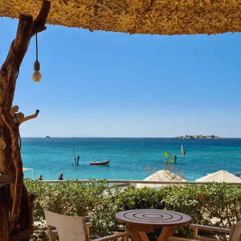 Terrasse ombragée donnant sur la mer