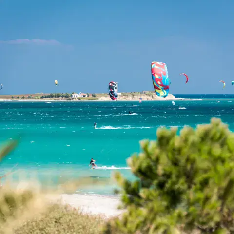 Voiles de windsurf et de kitesurf au large de la plage