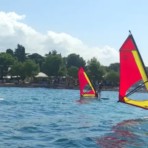 Élèves en cours de windsurf près de la côte