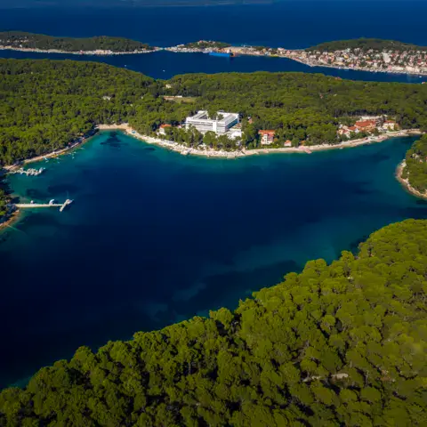 Baie entourée de pins vue du ciel