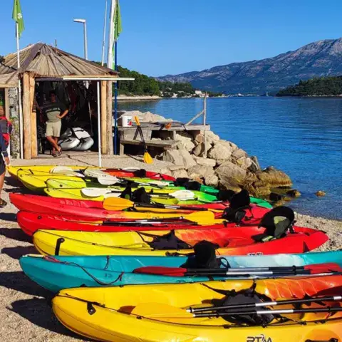 Kayaks de location alignés sur la plage