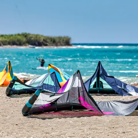Kites posés sur la plage de sable