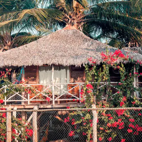 Bungalow en bois et chaume de la pousada