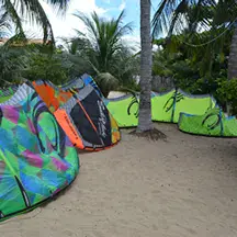 Kites posés sur le sable sous les cocotiers