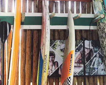 Planches de paddle rangées au club
