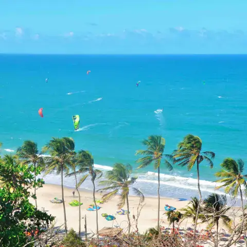 Plage bordée de palmiers avec des kites sur l'eau