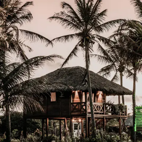 Bungalow sur pilotis parmi les cocotiers