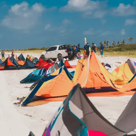 Kites étalés sur la plage