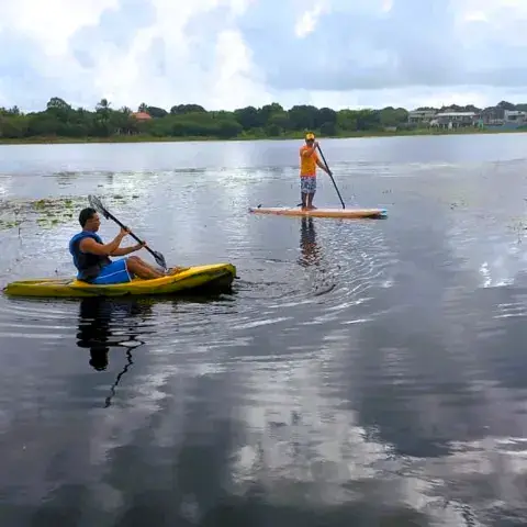Pratiquants de paddle et de kayak sur une lagune