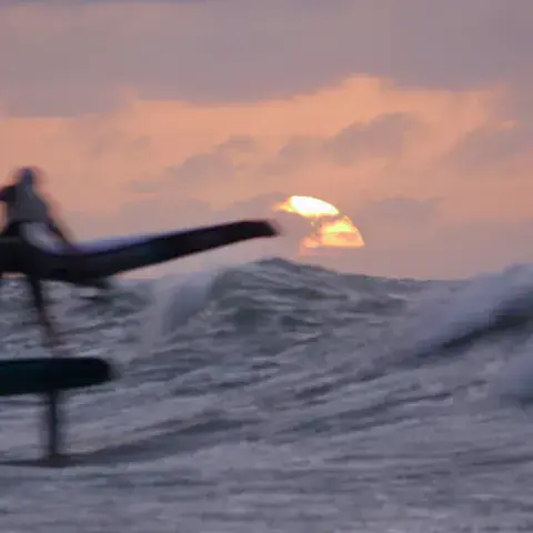 Foil au coucher du soleil
