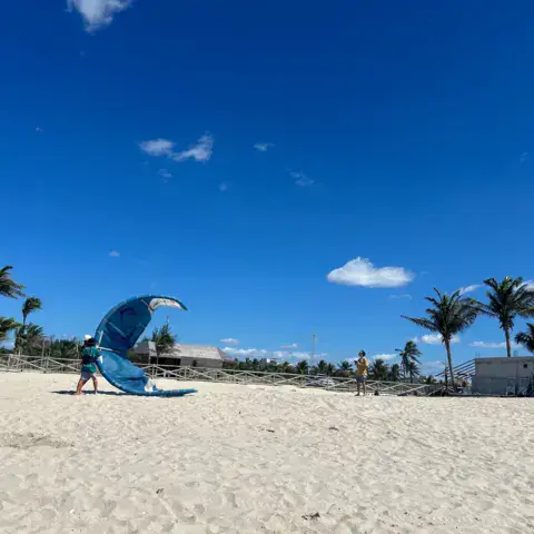 Kite sur la plage devant les cocotiers