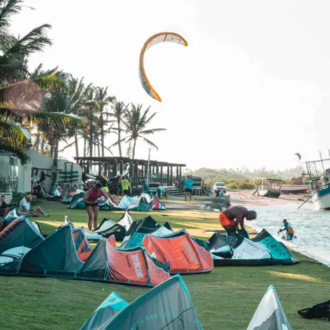 Kites sur la pelouse face à la lagune