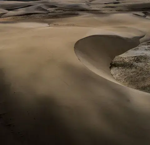 Dunes de sable au bord de la mer