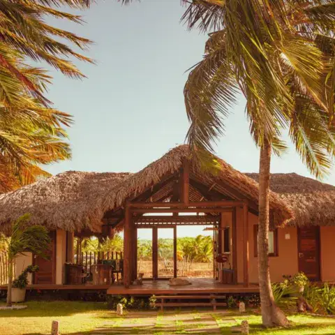 Bungalow au toit de chaume entouré de palmiers