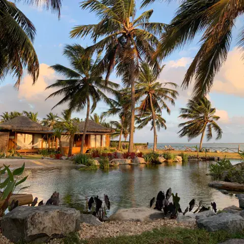 Bungalows et palmiers autour d'un bassin